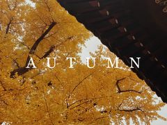 -红螺寺