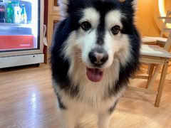 -白兔子密室(长寿路店)