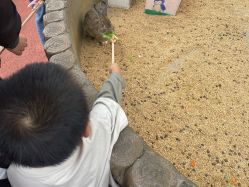 -造物庄园 萌宠纪(苏州湾歌林公园店)