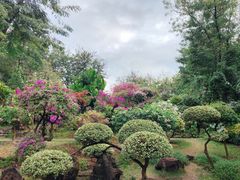 -曼听御花园