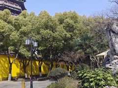 -红梅公园