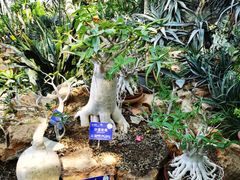 -国家植物园南园