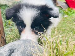 -海兰云天度假区温泉