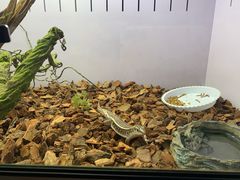 -昆明大悦城未来动物城(螺蛳湾中心店)