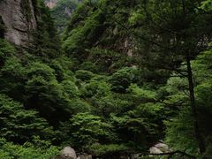 -青峰峡国家森林公园