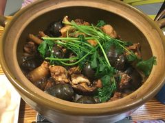 -食爺炭炉鸡煲·烧烤