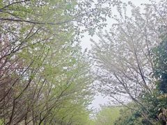 -南山风景名胜区