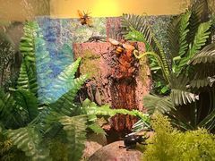 -湖南省地质博物馆