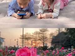 -二沙岛艺术公园