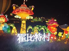 -大塘金香草谷