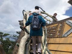 -疯狂屋
