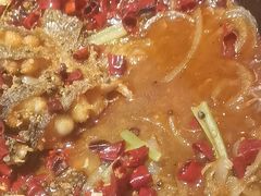 -老板恋上鱼(恒隆广场店)