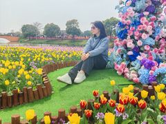 -荷兰花海