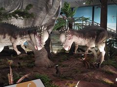 -湖南省地质博物馆