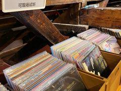 -树懒黑胶唱片店(中山路店)