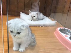 -龟与熊猫宠物公园(南坪店)