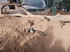 -济南野生动物世界