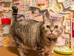 -H立方实景剧情密室(天河旗舰店)