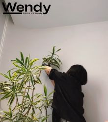 -WENDY·温迪皮肤管理
