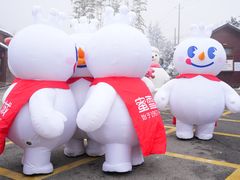 -少华山国家森林公园