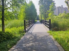 -昆山城市生态森林公园