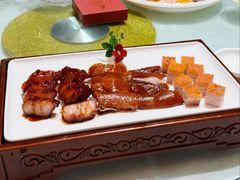 -金河半岛园林酒家(金融城店)