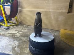 -太平洋海底世界