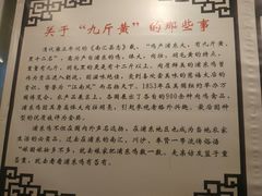 -九斤黄三黄鸡专卖店