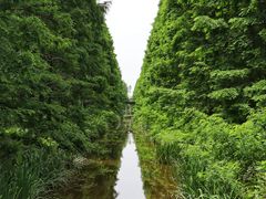 -黄海国家森林公园