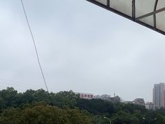 -龙悦湾酒家·八阵鱼生·渔人码头店