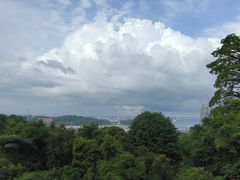 -花柏山公园