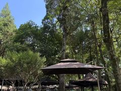 -兴福老面馆(寺路街店)