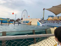 -秦皇岛乐岛海洋王国