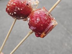-蘇锦宴·淮扬菜烤鸭·小院(三元桥霄云路店)