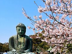 -灌篮高手动画打卡地