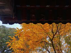 -大觉寺-停车场