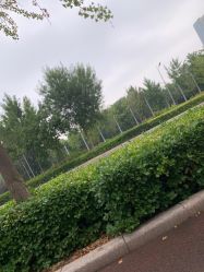 -HEYAN长风荷妍专业脱毛美肤
