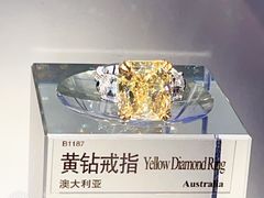 -中国地质博物馆
