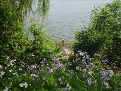 -沈阳鸟岛