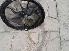 -驿舍·民國老营房院子私房菜(科学会堂店)