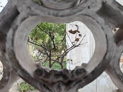 -拙政园