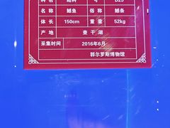 -郭尔罗斯博物馆