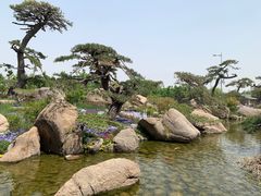 -罗红摄影艺术馆