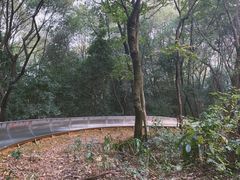 -茶颜悦色(岳麓山顶店)