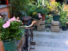 -园林美食城·本土农家菜(杨和镇店)