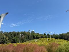 -沈阳植物园