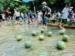 -五凤溪古镇