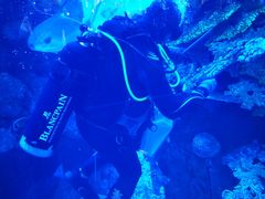 -迪拜水族馆及水下动物园