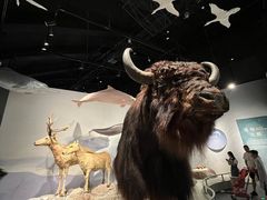 -中国湿地博物馆