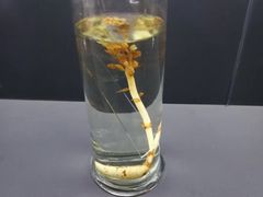 景点-李时珍纪念馆